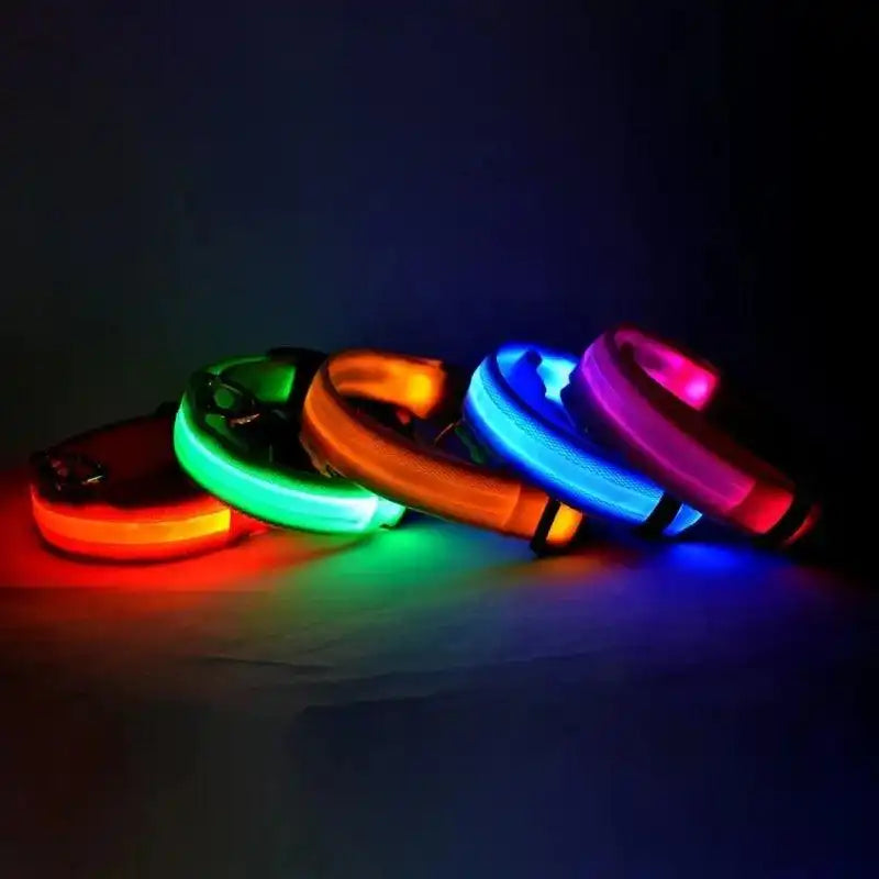 Collares LED para perros en colores brillantes, ideales para paseos nocturnos seguros y visibles