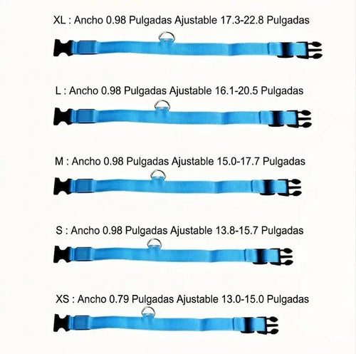 Collares ajustables para perros en varios tamaños, ideales para paseos y comodidad diaria.