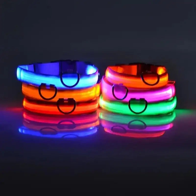 Collares LED para perros en colores brillantes, ideales para paseos nocturnos seguros y visibles.