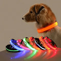 Collar LED para perro brillante en varios colores, seguro y visible para paseos nocturnos