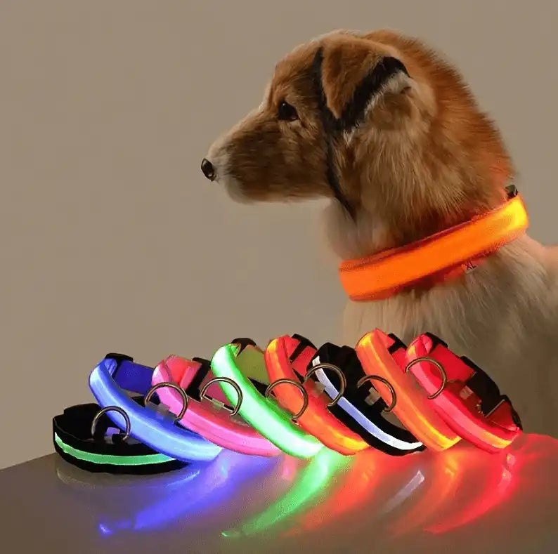 Collar LED para perro brillante en varios colores, seguro y visible para paseos nocturnos