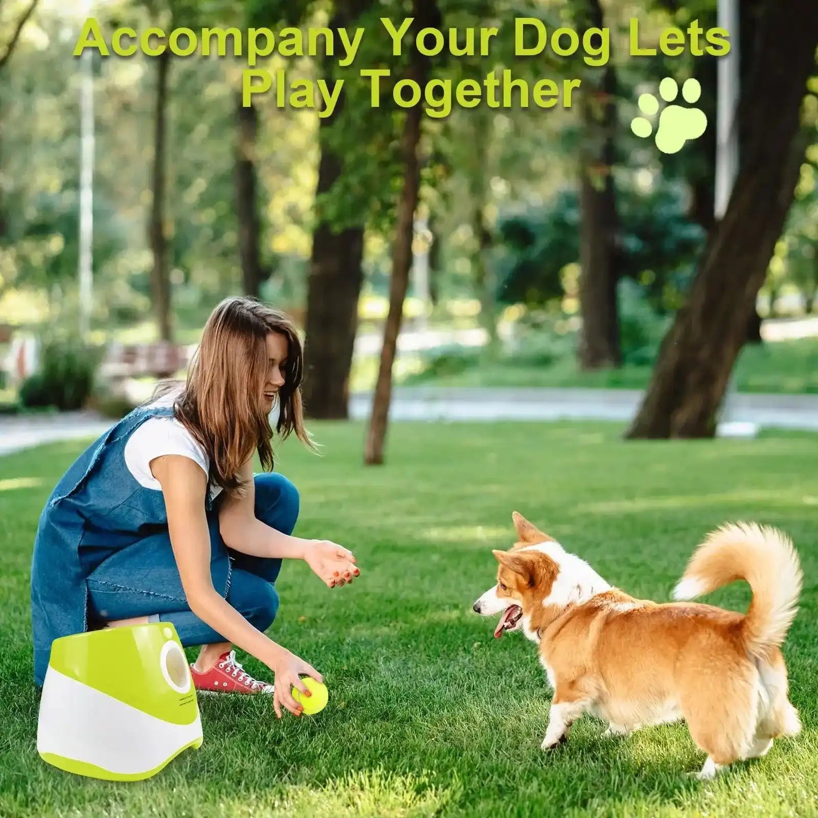 Mujer jugando con perro corgi en parque usando lanzador de pelotas verde