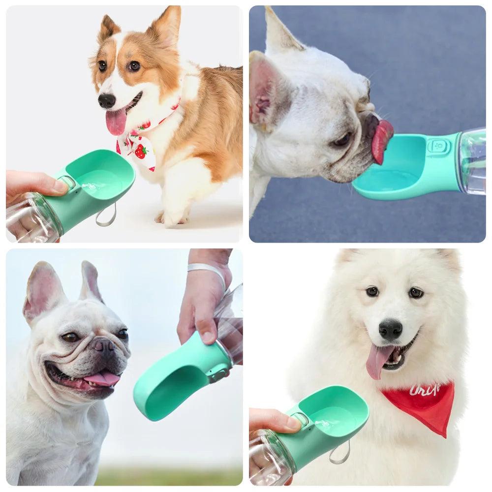 Perros bebiendo de botella portátil con dispensador de agua para mascotas